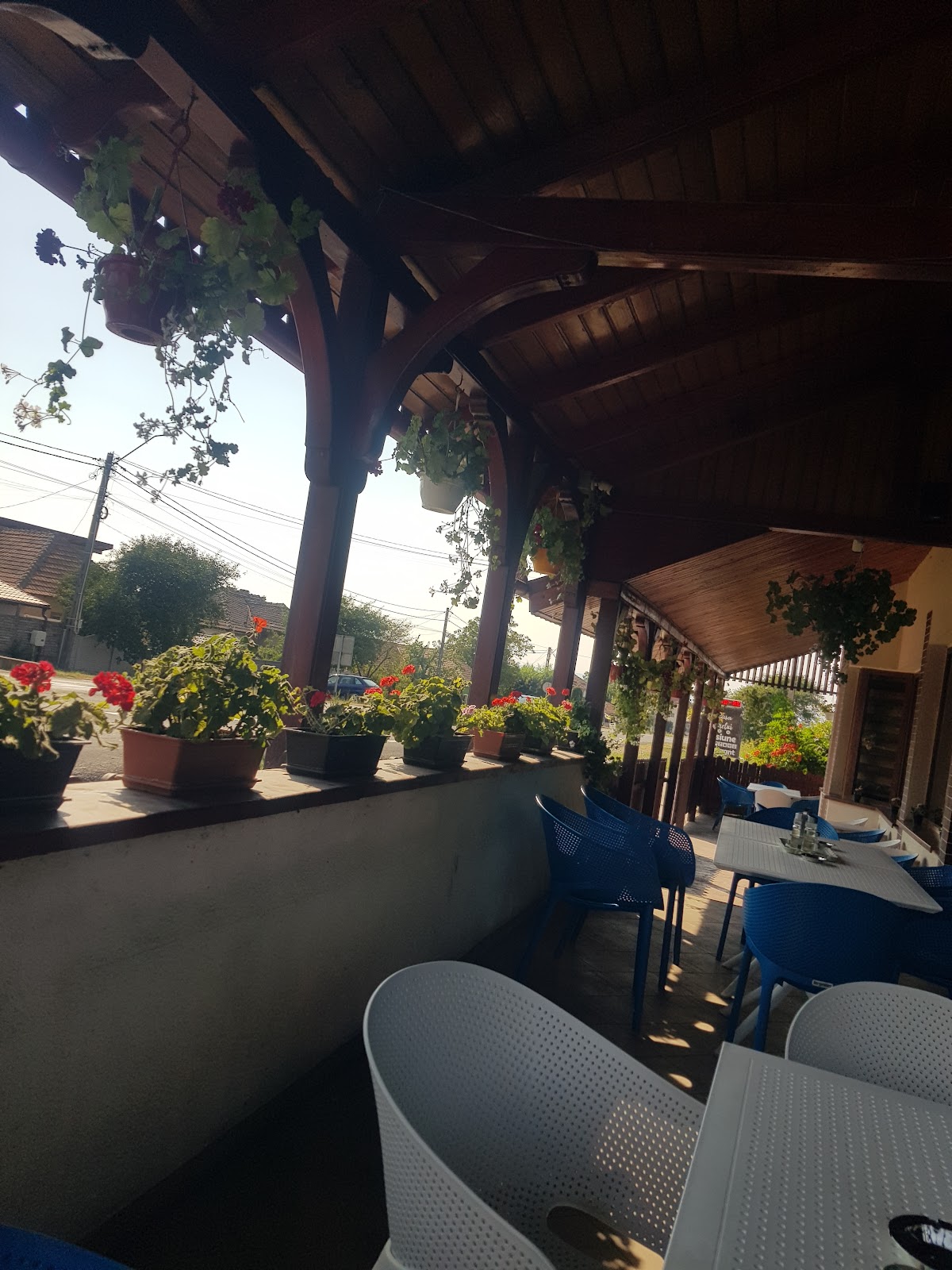 Restaurant - LA GOGONETU - foto 4