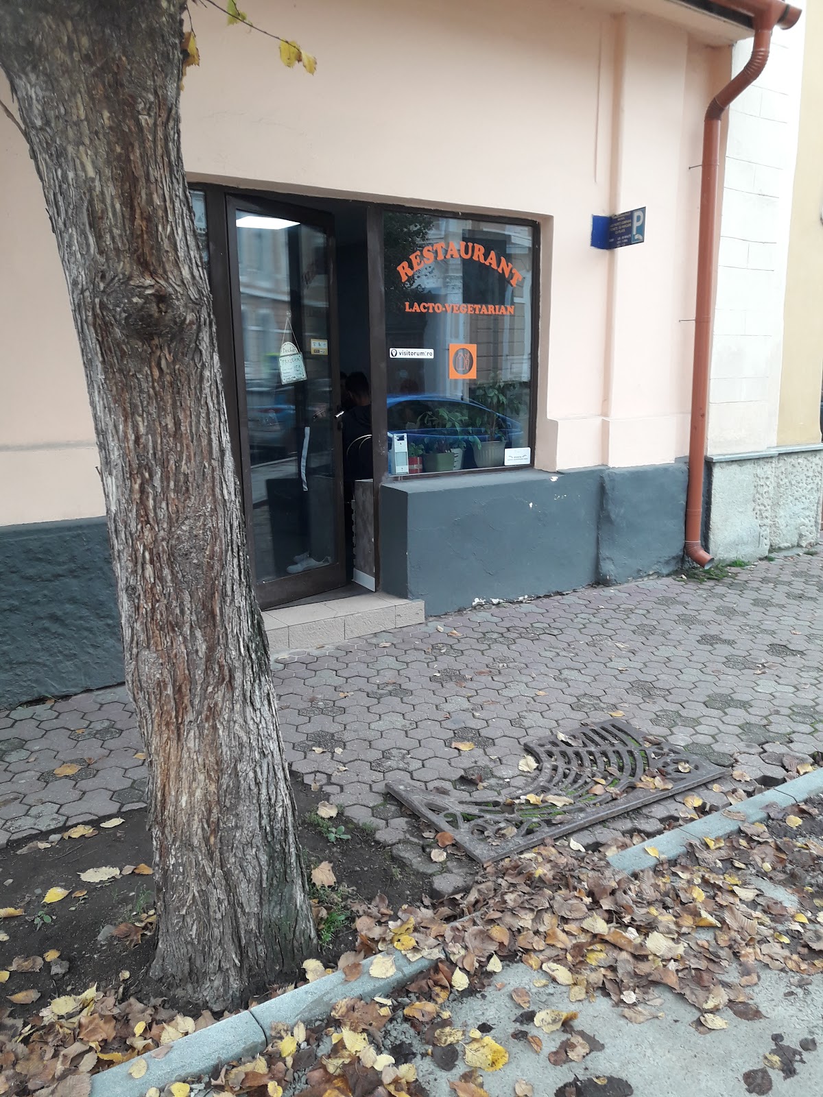 Restaurant Lacto-Vegetarian, Bistriţa