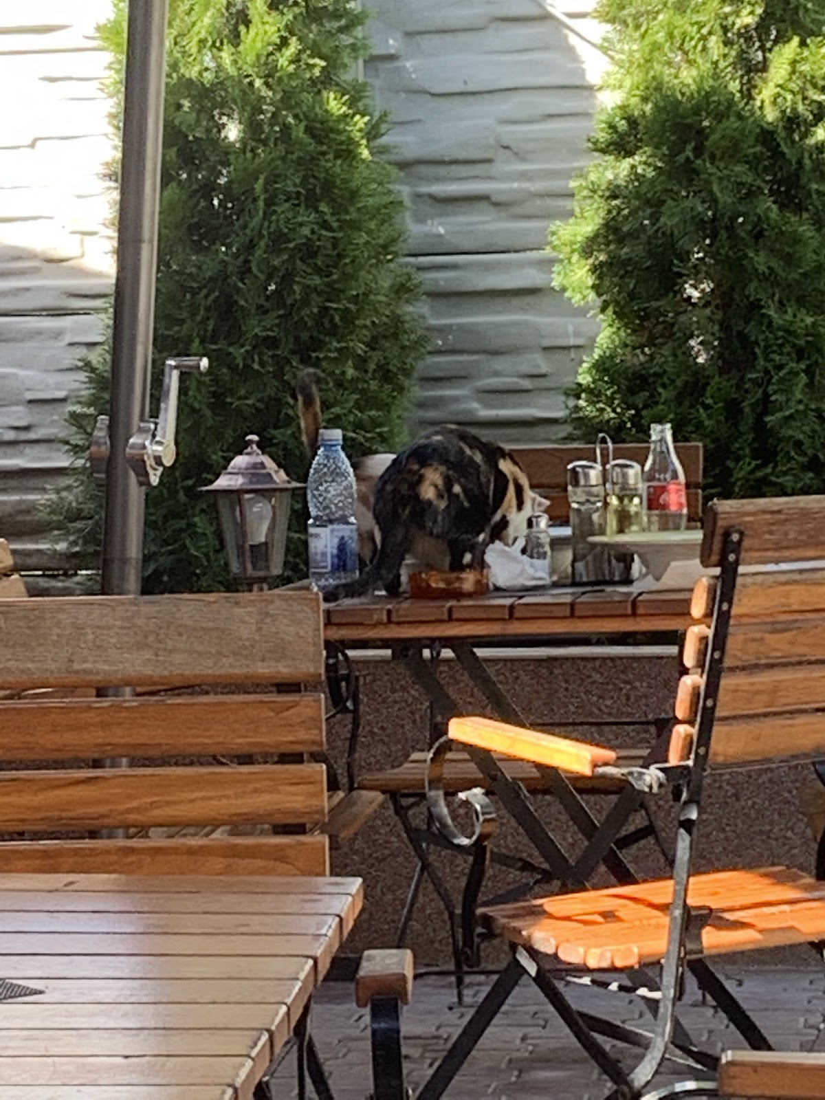 Restaurante Măcelaru' - foto 1