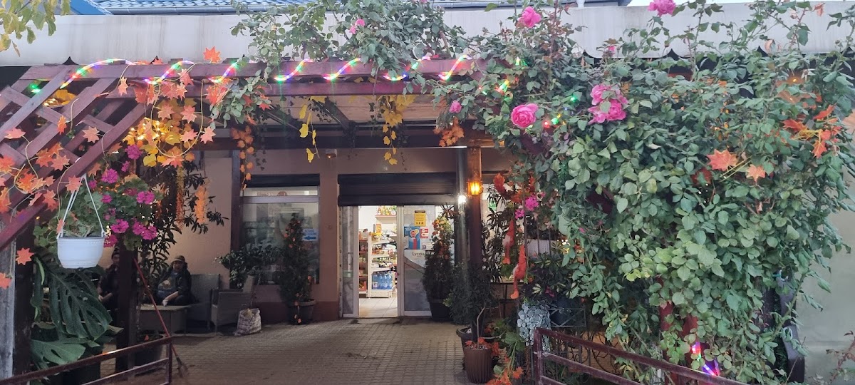 Restaurant Mario Jitaru - foto 4