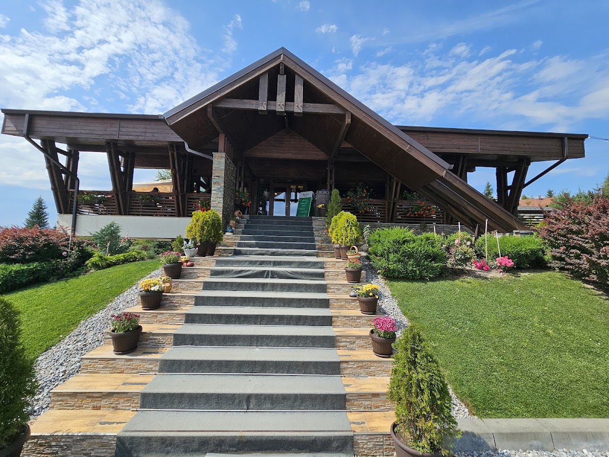 Restaurant Mestecăniș - foto 5