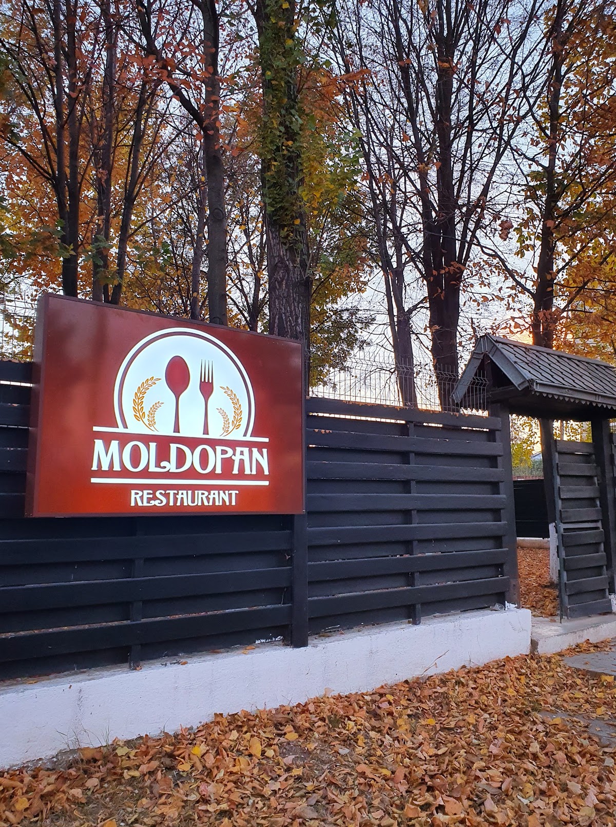 Restaurant Moldopan - foto 3