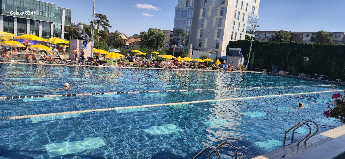 Restaurant Pădurice - foto 4