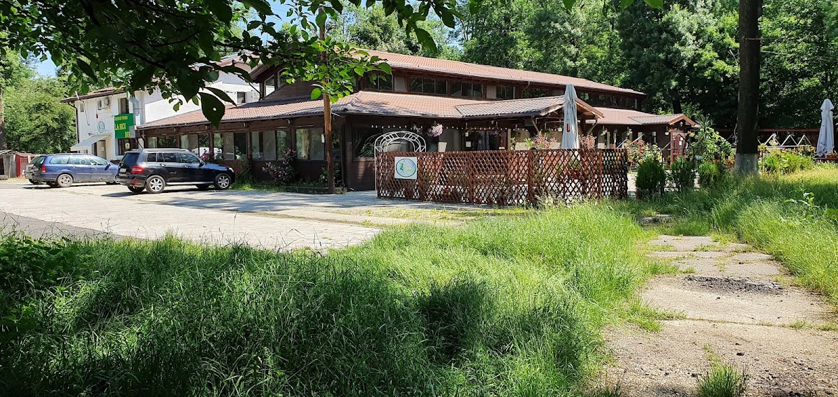 Restaurant-Pensiune La Nicu Dorilă - foto 3