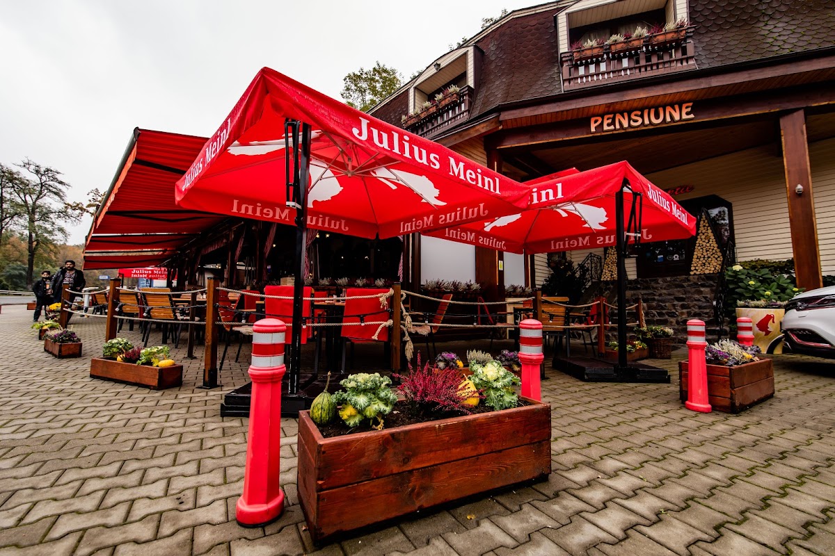 Restaurant Pension Lyra | traditionelle Küche, BBQ-Gerichte, Lieferung Mureș, Restaurant Mureș - foto 1