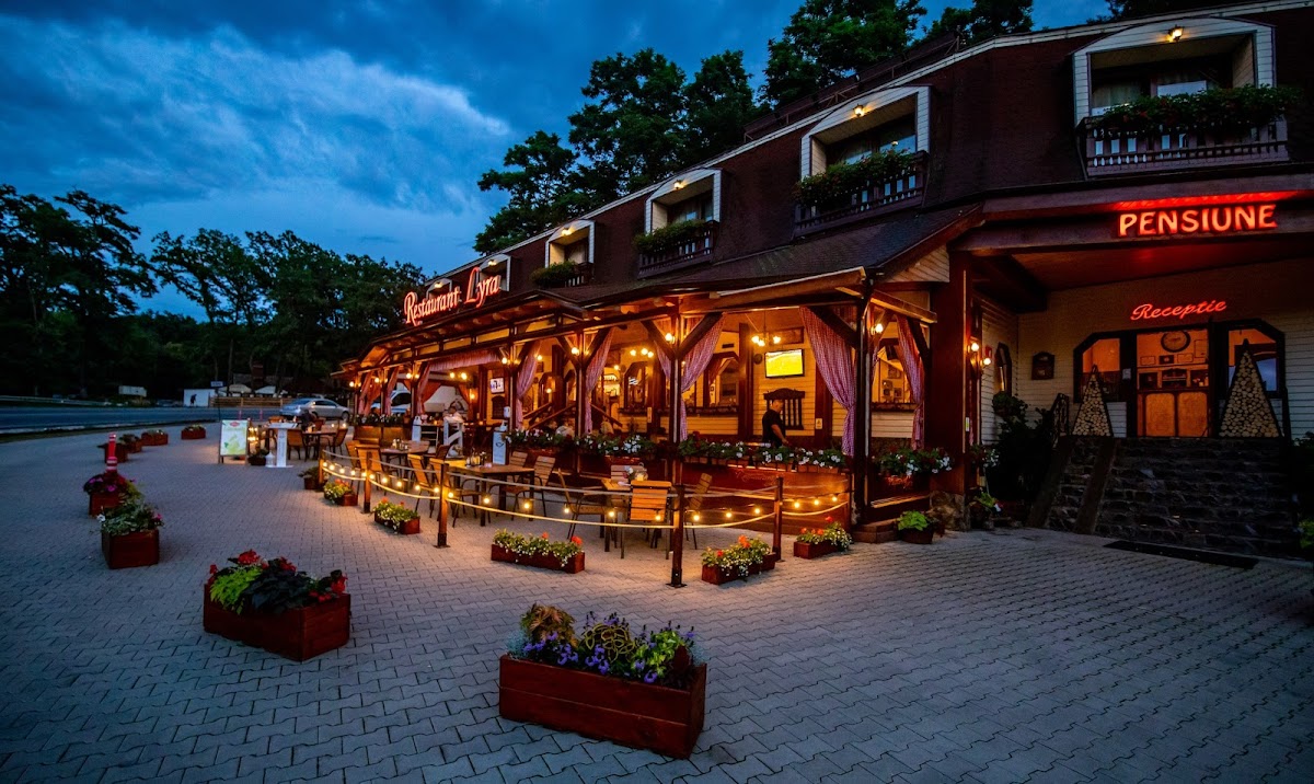 Restaurant Pension Lyra | traditionelle Küche, BBQ-Gerichte, Lieferung Mureș, Restaurant Mureș - foto 4