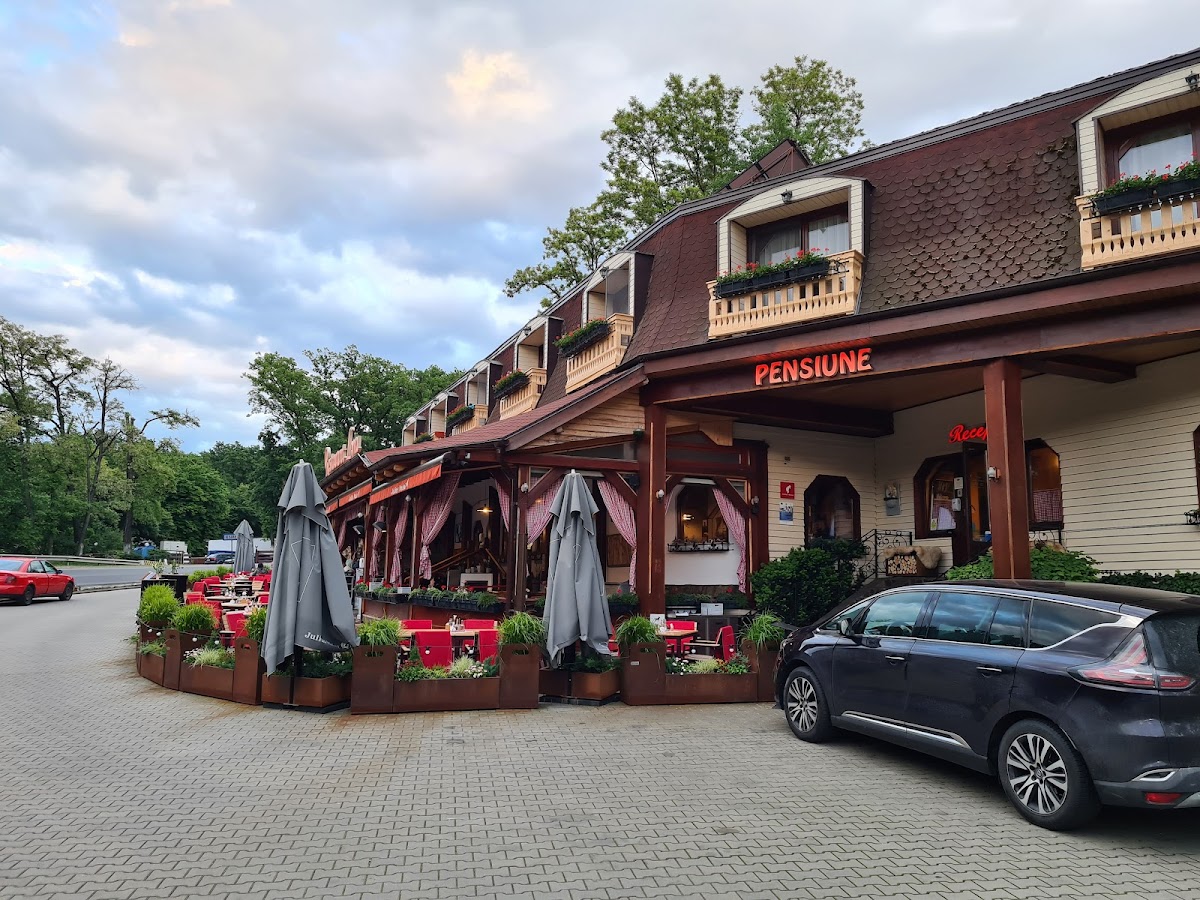 Restaurant Pension Lyra | traditionelle Küche, BBQ-Gerichte, Lieferung Mureș, Restaurant Mureș - foto 5