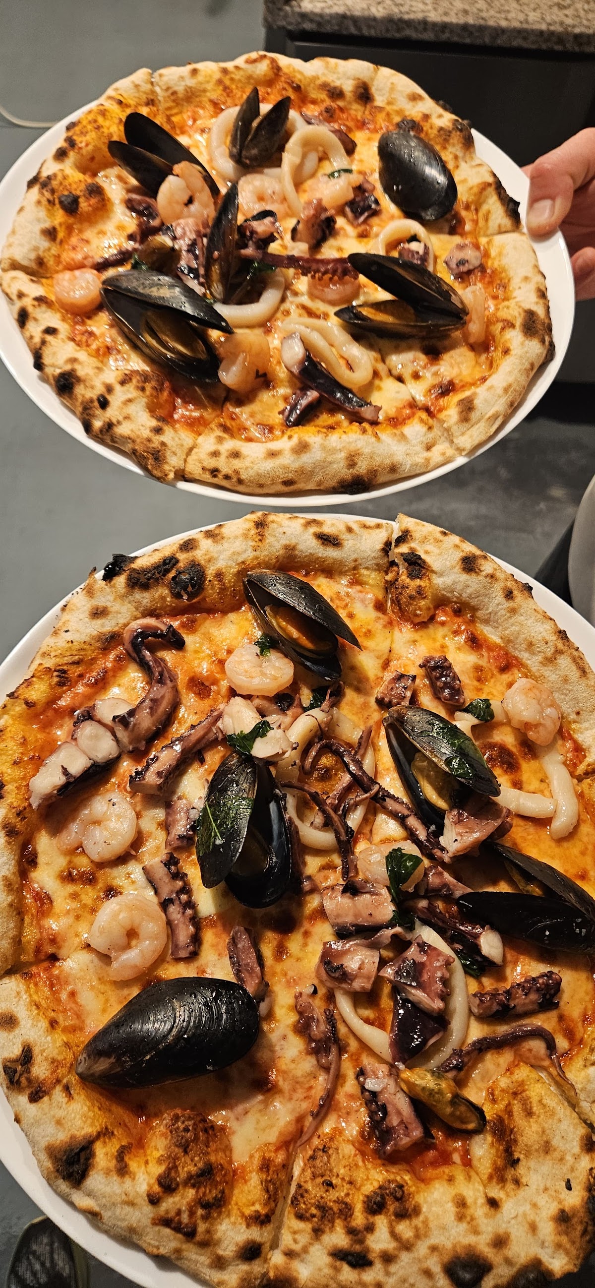 Restaurant & Pizza Trattoria Terra - foto 5