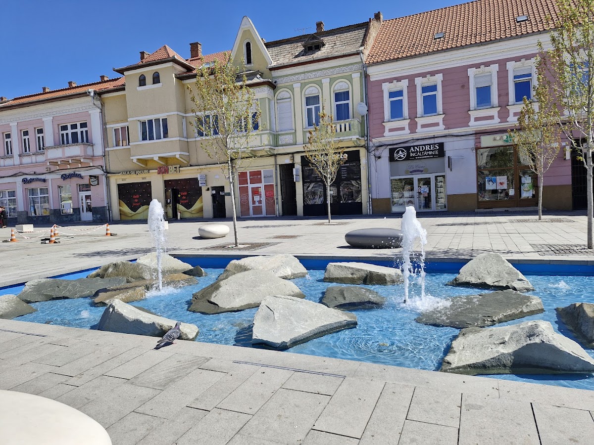 Restaurant Potaissa - foto 3