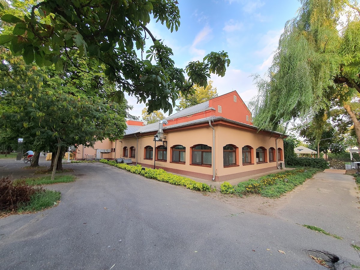 Restaurant "Privighetoarea" Brăila - foto 4