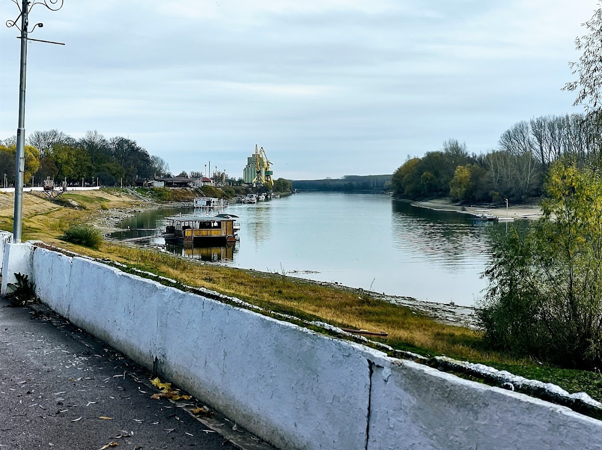 Restaurant Queen - foto 5