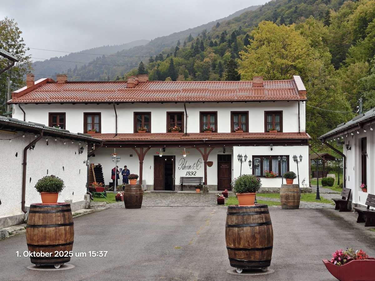 Restaurant Rhein Azuga - foto 3