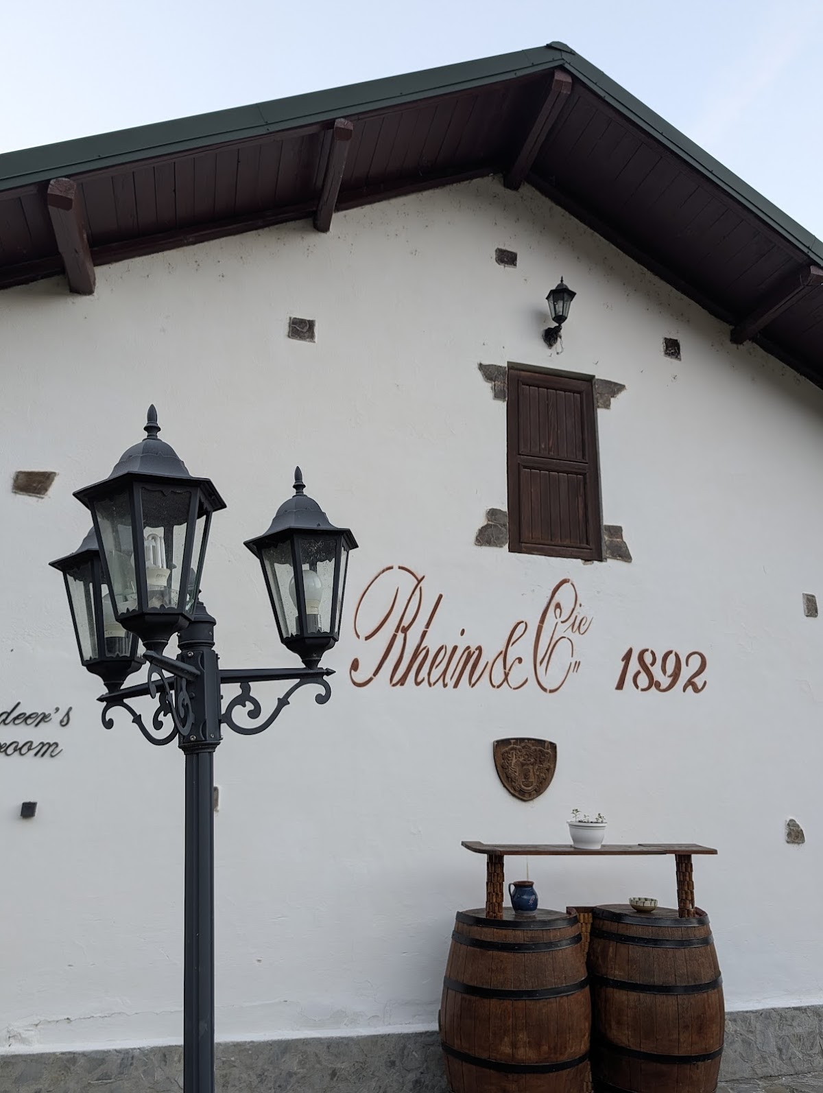 Restaurant Rhein Azuga - foto 4