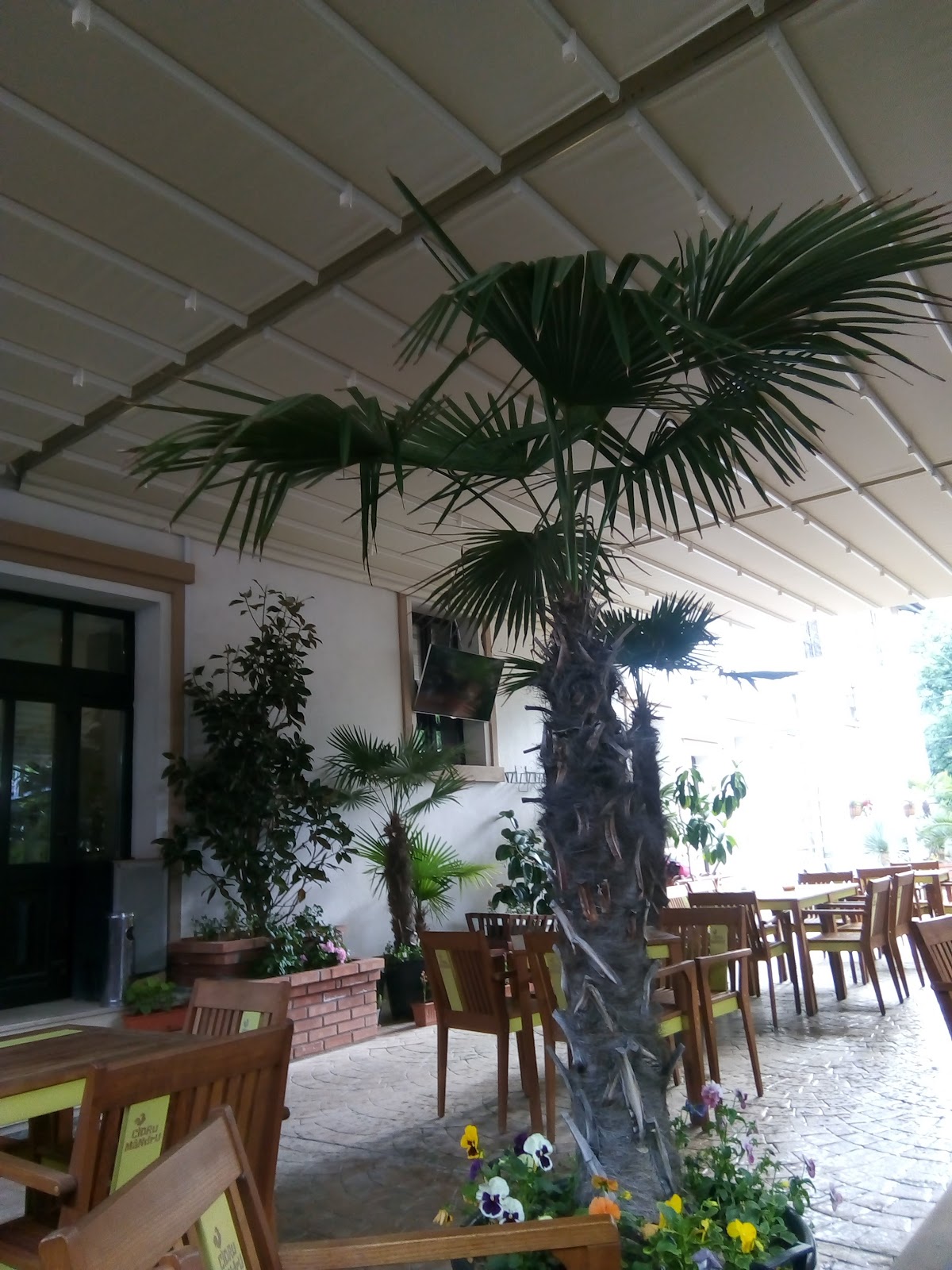 Restaurant Roșiorii de Vede - foto 2