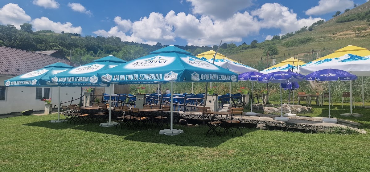 Rustic Home Târnăveni Étterem - foto 4