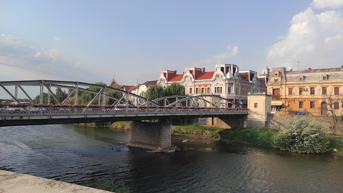 Restaurant Ryno's - foto 5