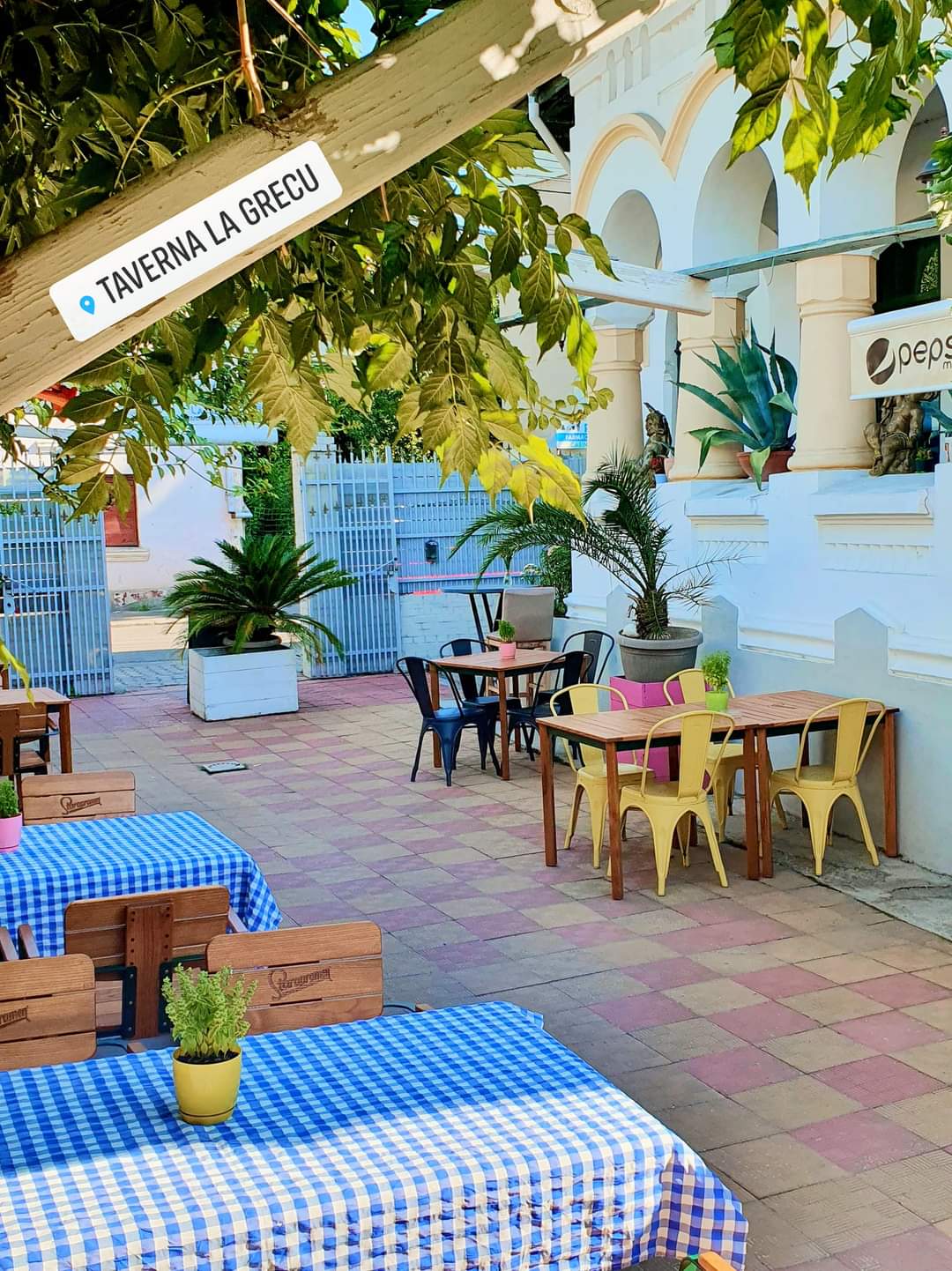 Restaurant - Taverna La Grecu - foto 3