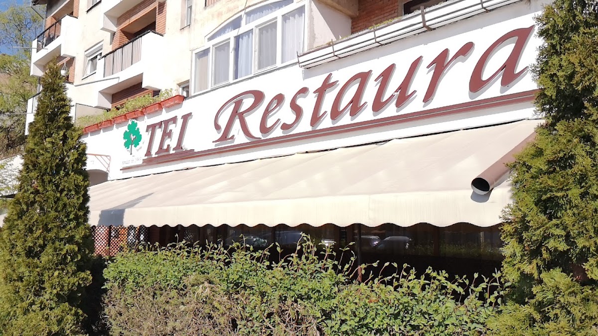 Restaurant Tei - foto 4