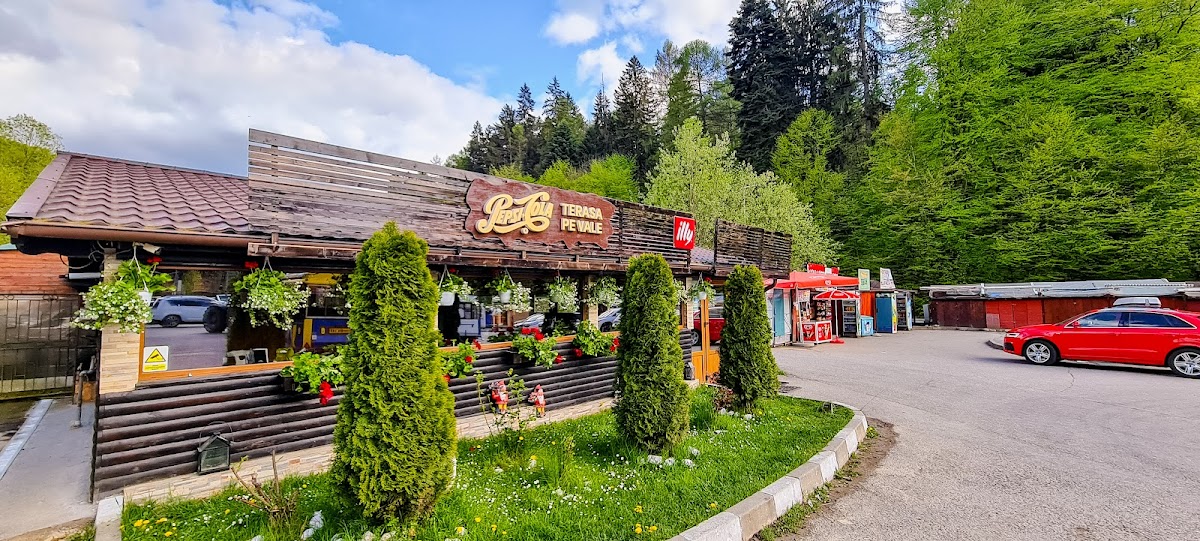 Restaurant Terasa "Pe Vale" - foto 3
