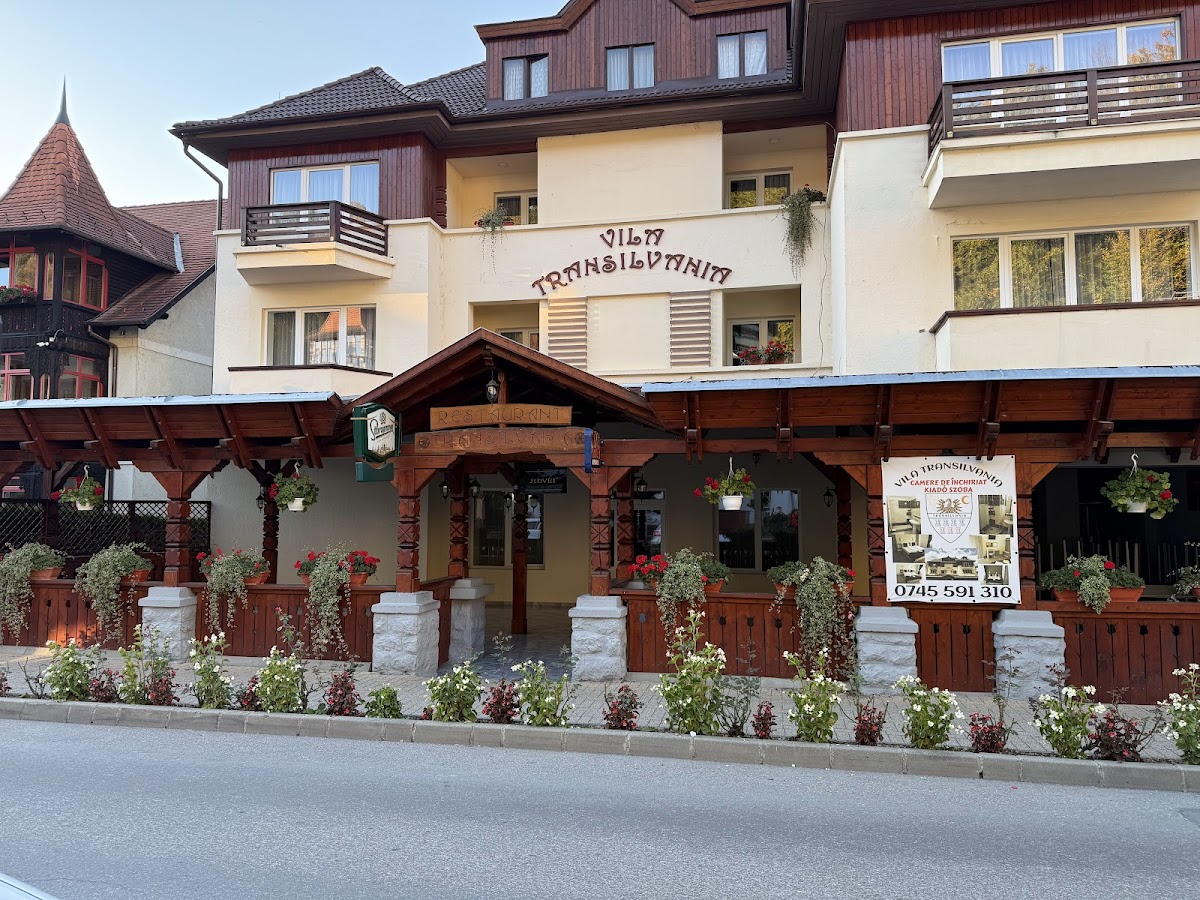 Transilvánia Étterem - foto 4