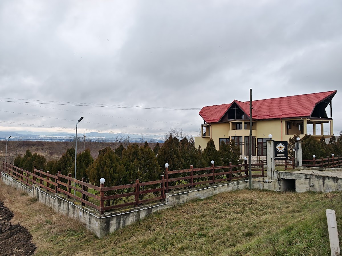 Restaurant Vatra Nouă - foto 3