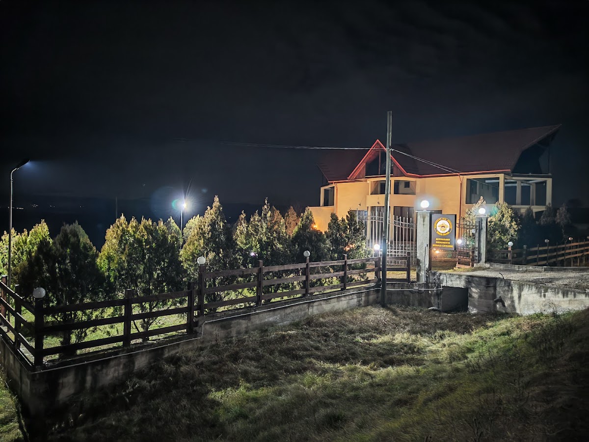 Restaurant Vatra Nouă - foto 4