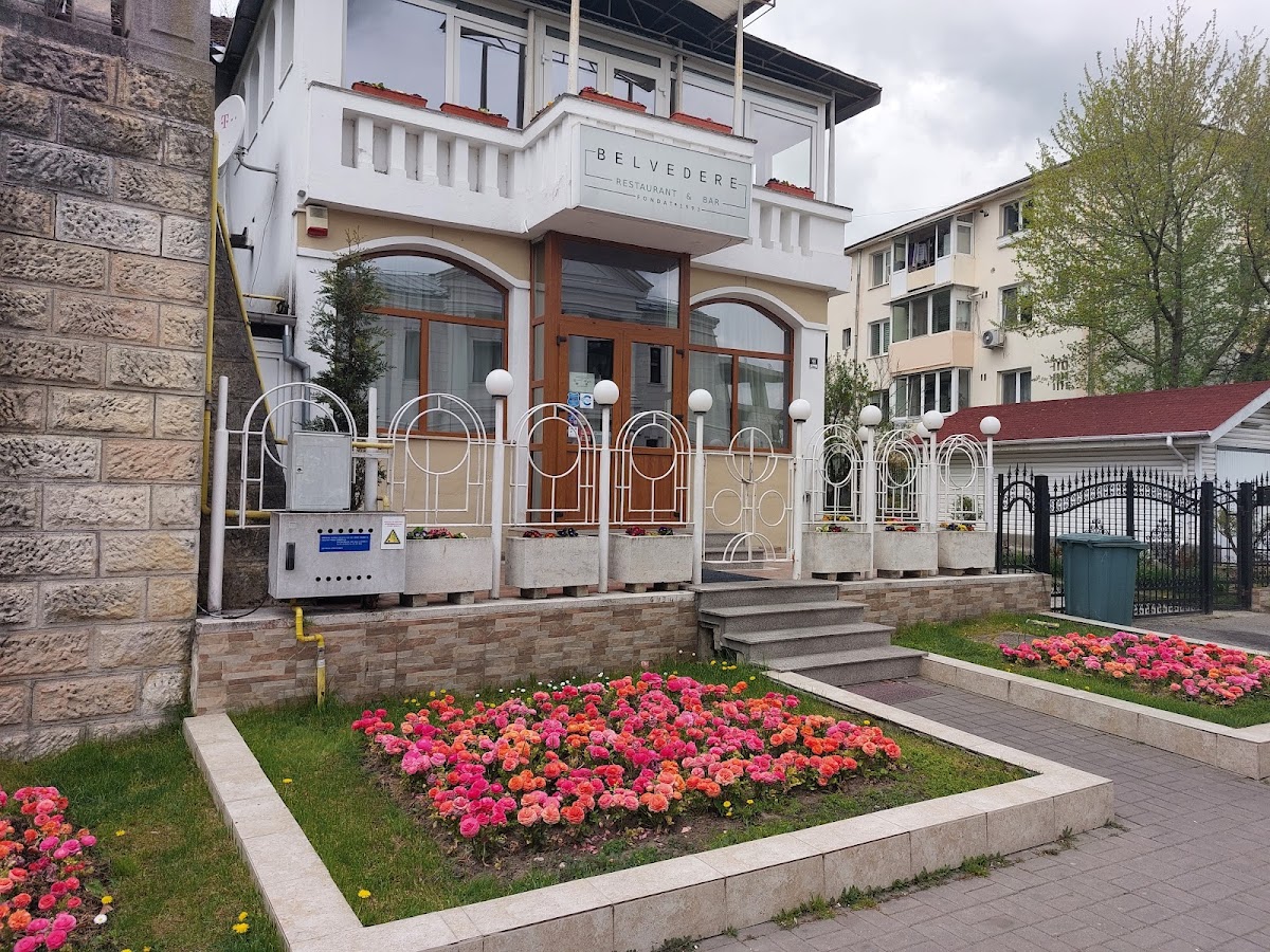 Restaurantul Belvedere - foto 4