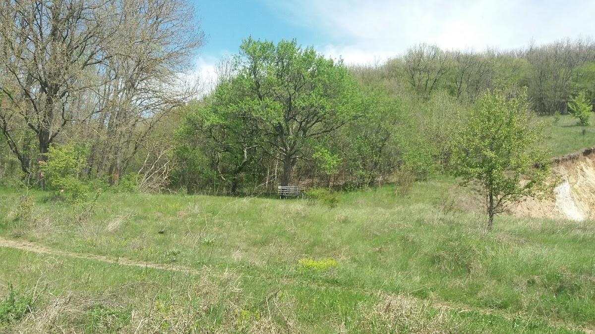 Lilac Reserve "Fântâna Mare" - foto 4