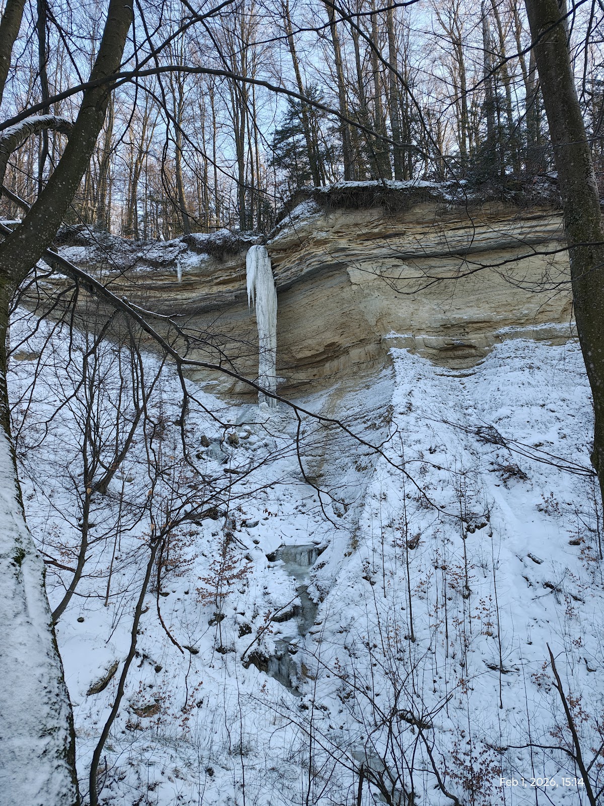 Tudora Yew Reserve - foto 2