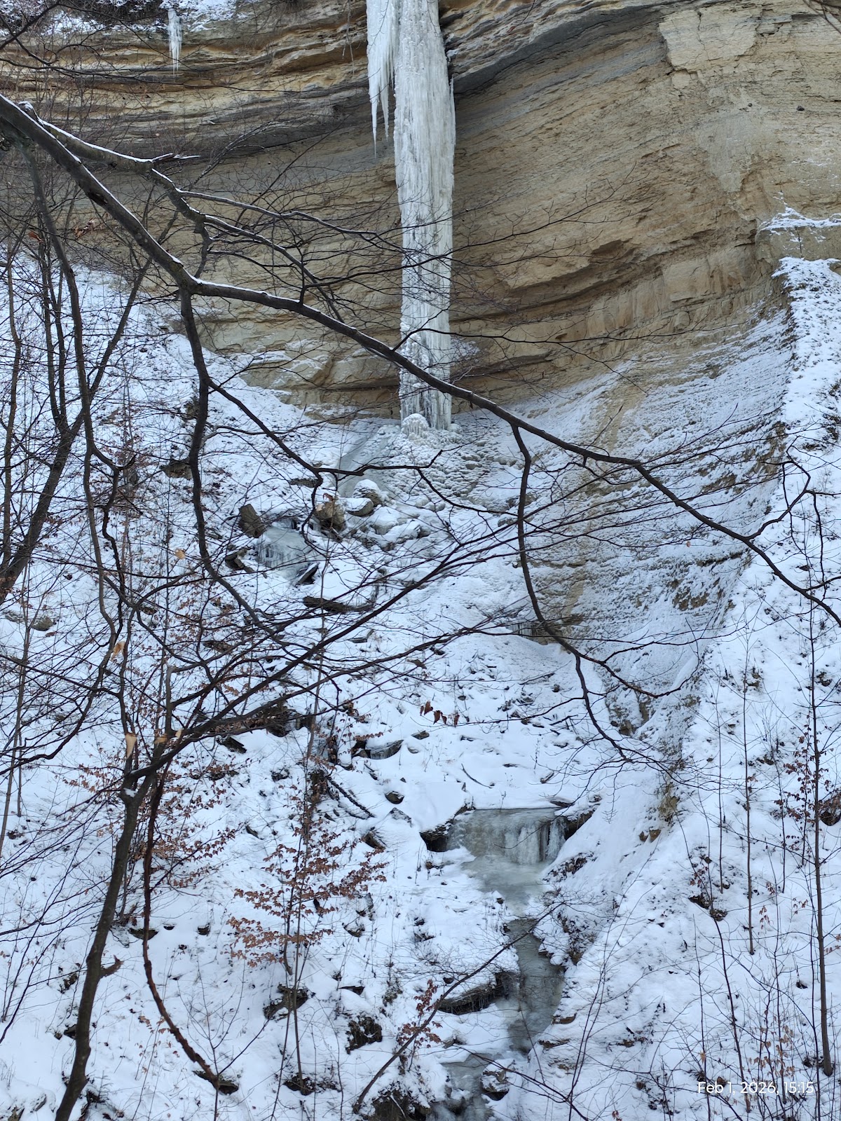 Tudora Yew Reserve - foto 3