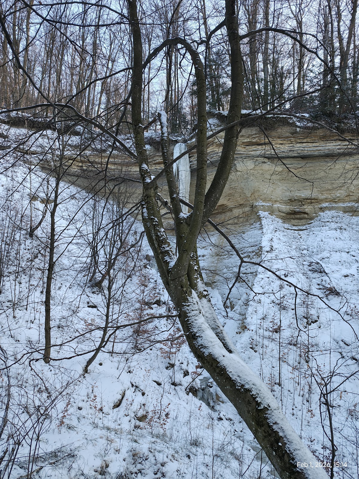 Tudora Yew Reserve - foto 4