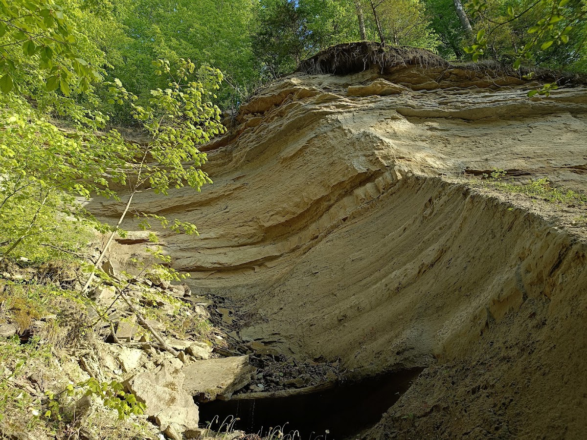 Réserve de Tisa Tudora - foto 1