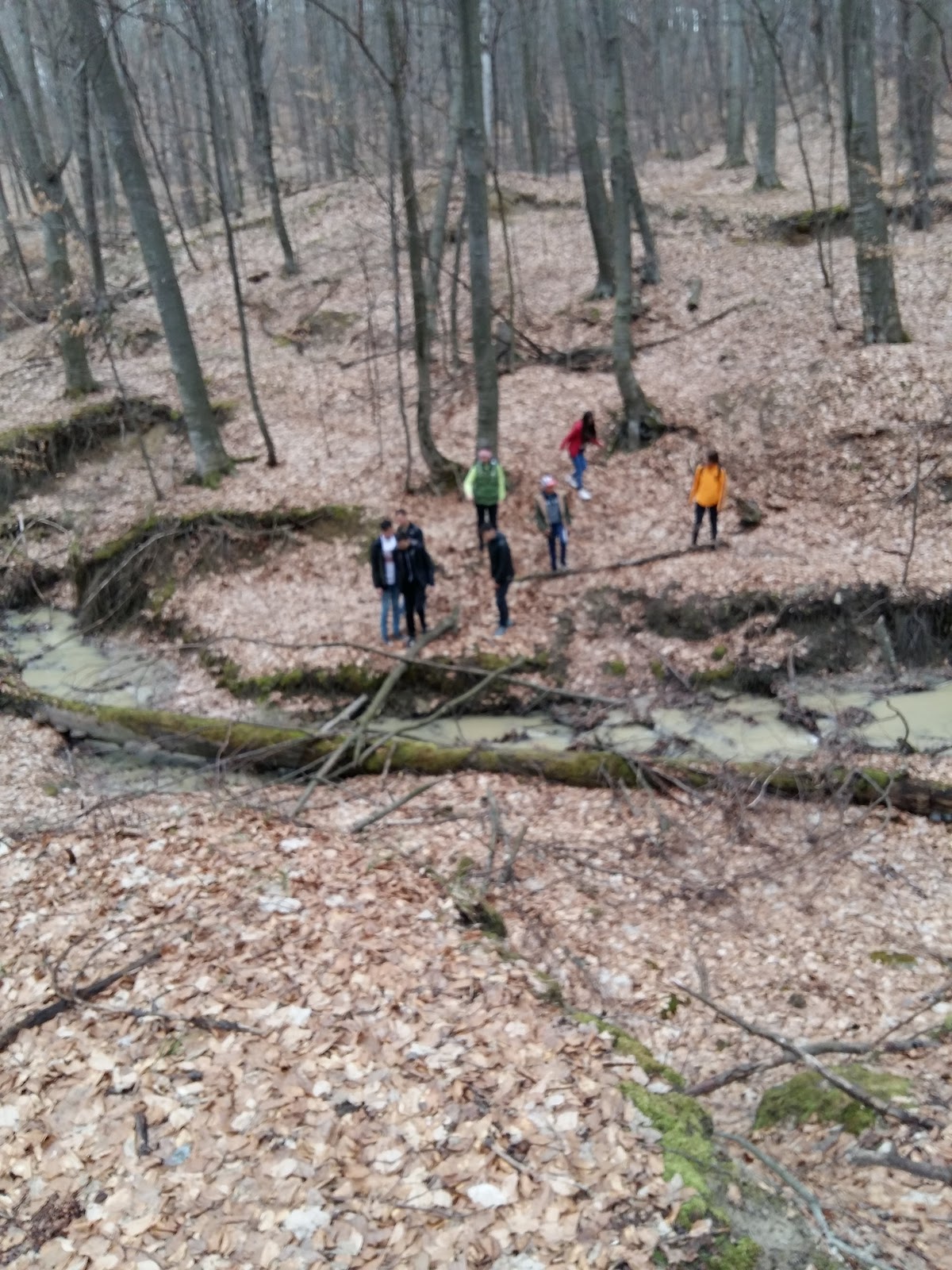 Réserve de Tisa Tudora - foto 2