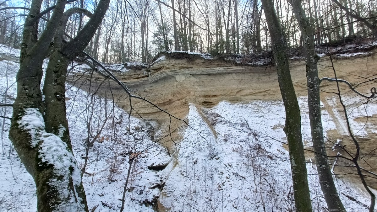 Réserve de Tisa Tudora - foto 4