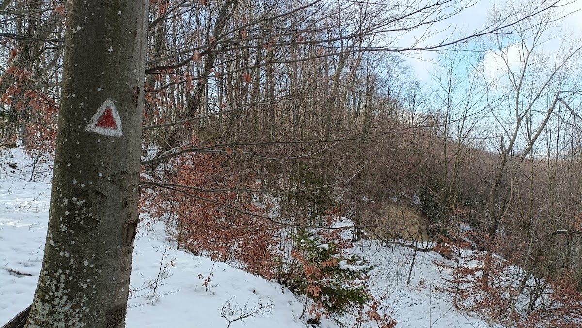 Réserve de Tisa Tudora - foto 5