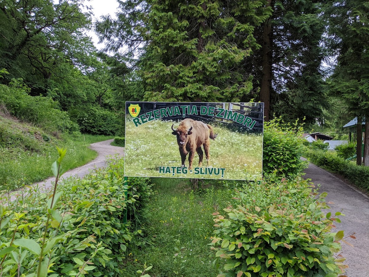 Zebra Reserve - foto 4