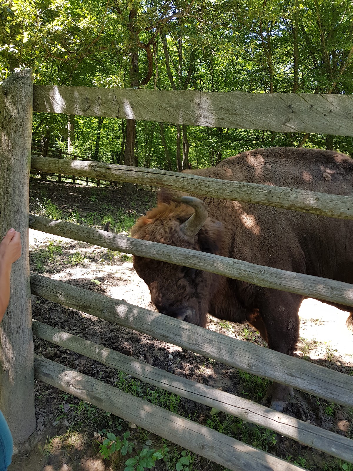 Zebra Reserve - foto 5