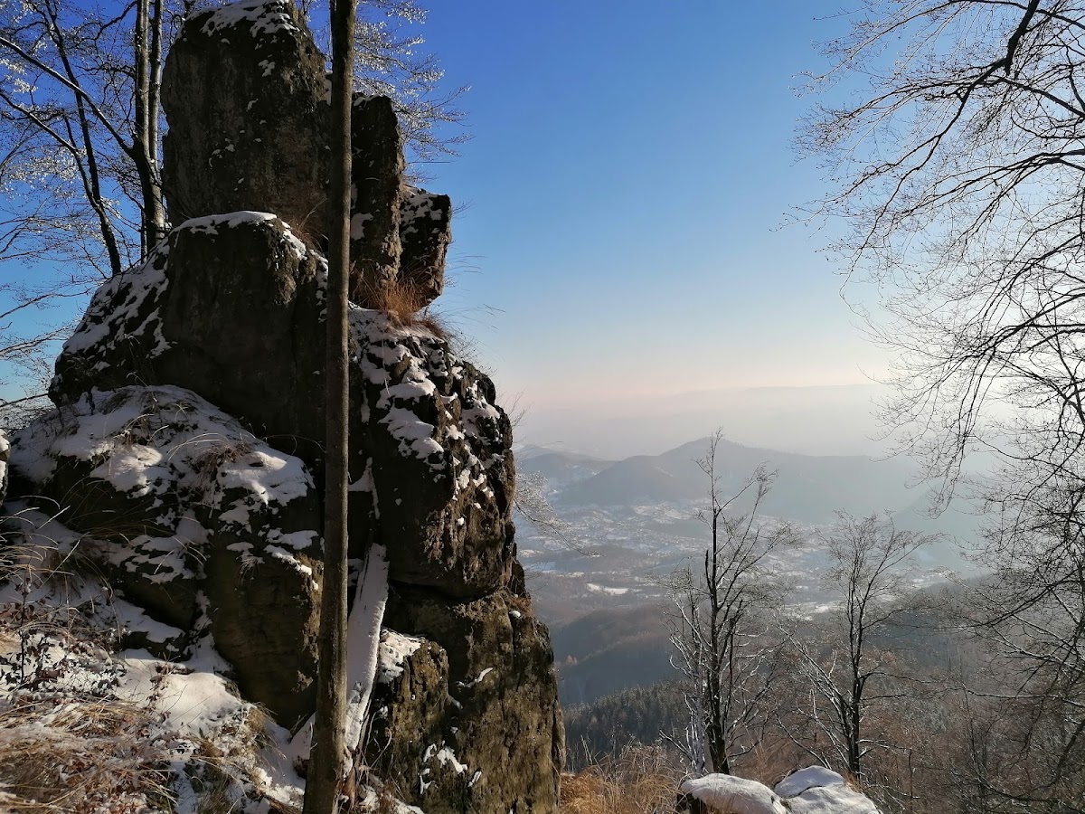 Chiuzbaia化石保护区 - foto 2
