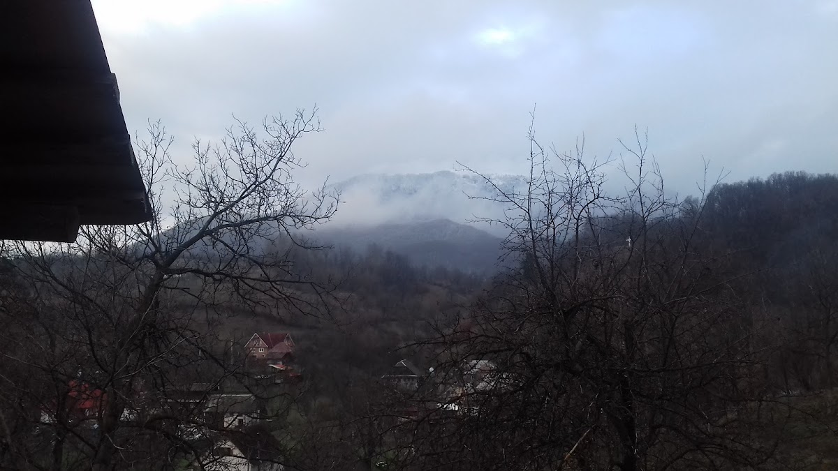 Chiuzbaia化石保护区 - foto 4