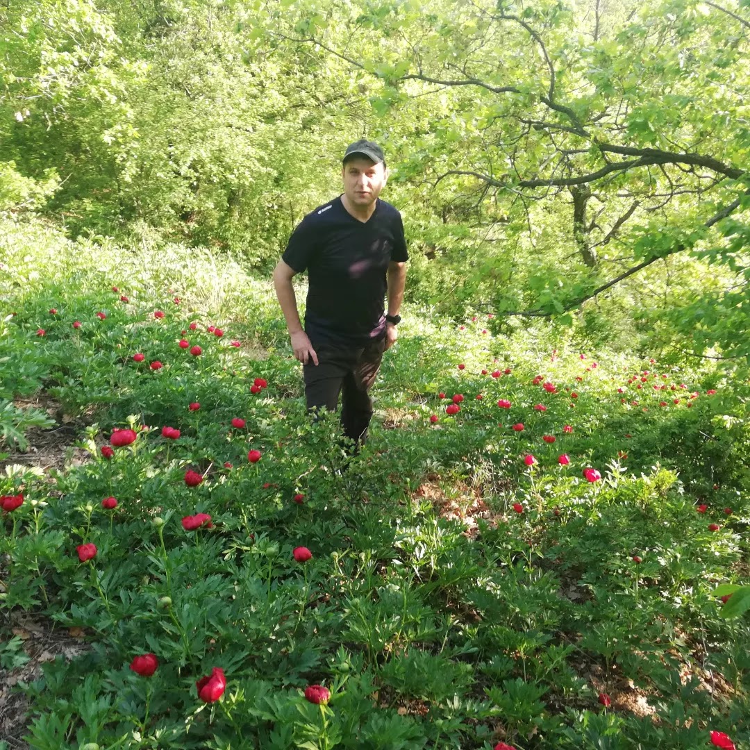 阿吉霍尔地质保护区 - foto 2