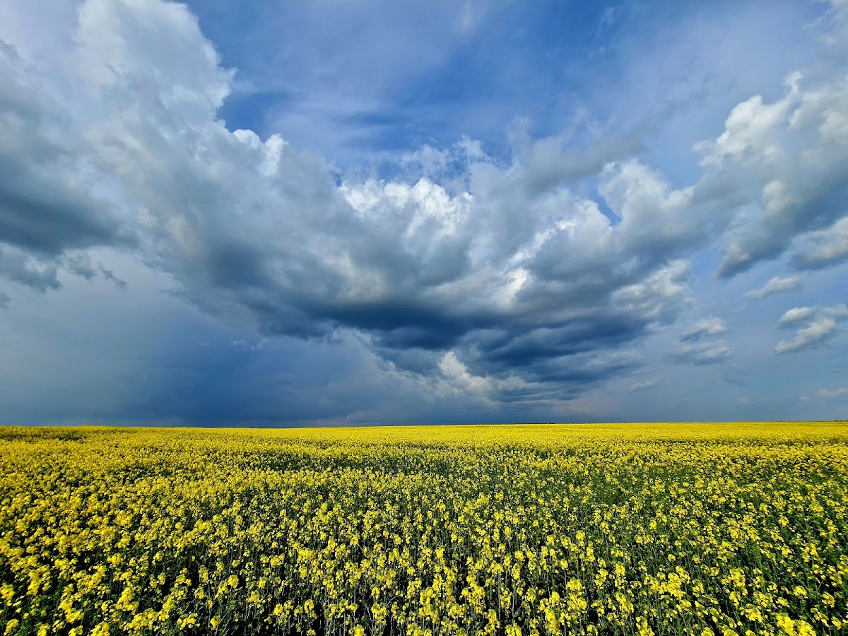 阿吉霍尔地质保护区 - foto 5