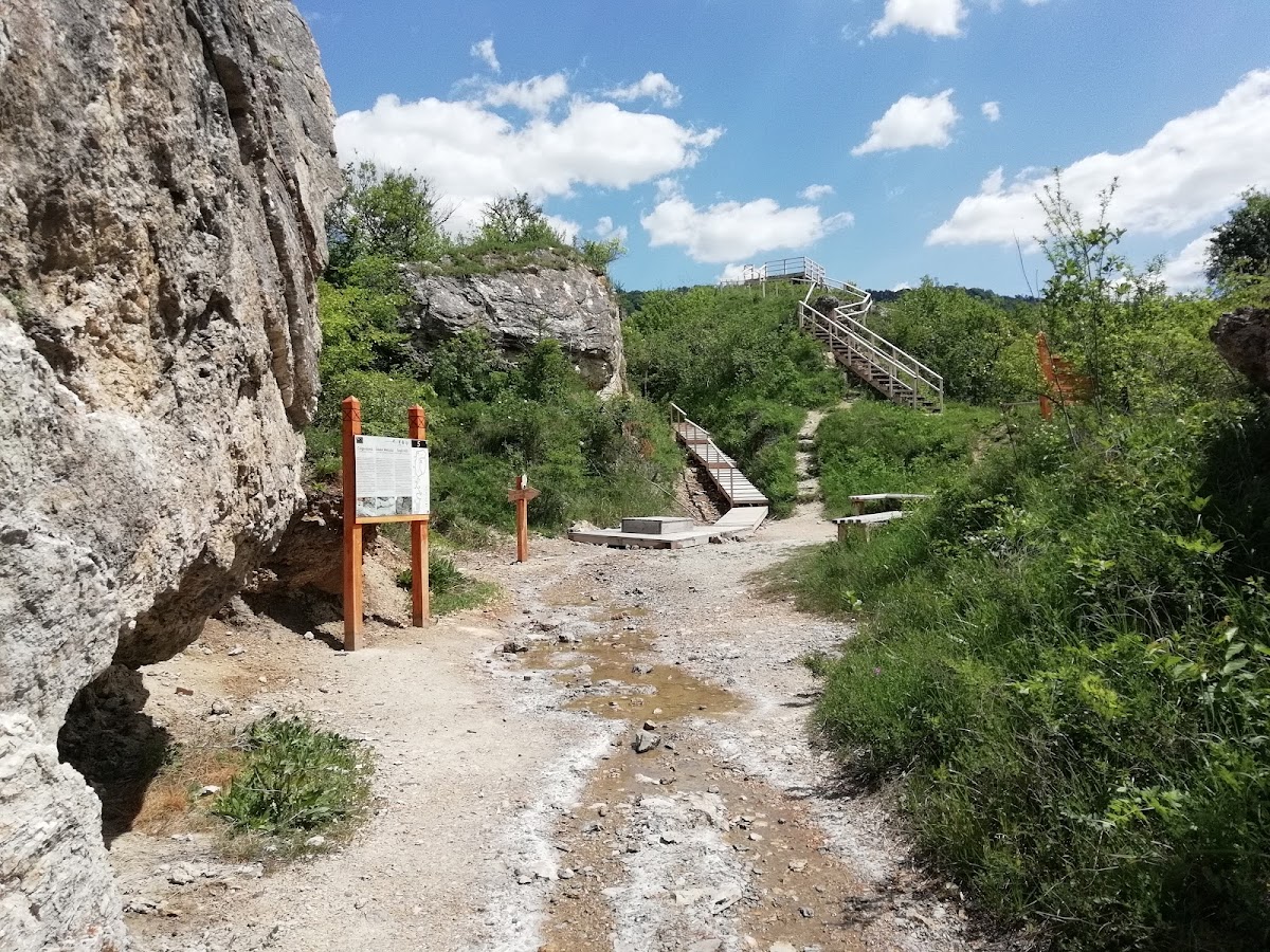 Réserve géologique Dealul Melcului - foto 1