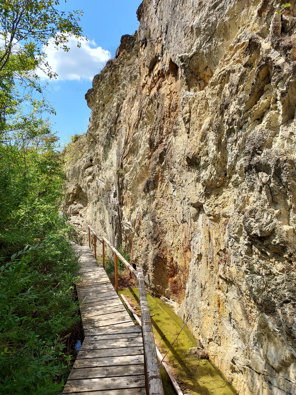 Réserve géologique Dealul Melcului - foto 2