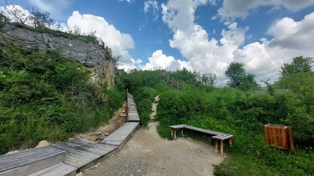 Réserve géologique Dealul Melcului - foto 3