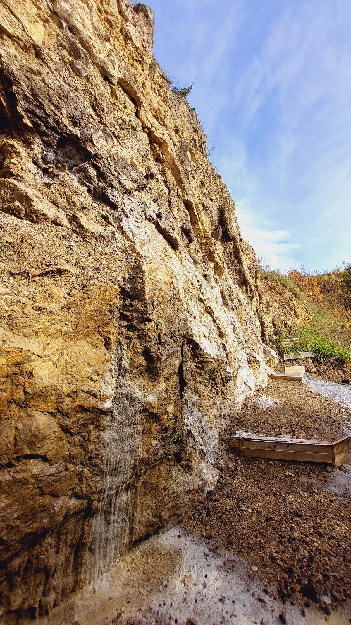 Réserve géologique Dealul Melcului - foto 4
