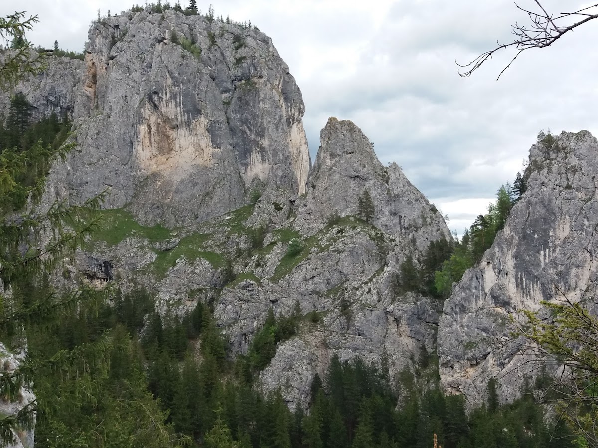 Rezervaţia Naturală Cheile Şugăului-Munticelu Sit Natura 2000 - foto 2