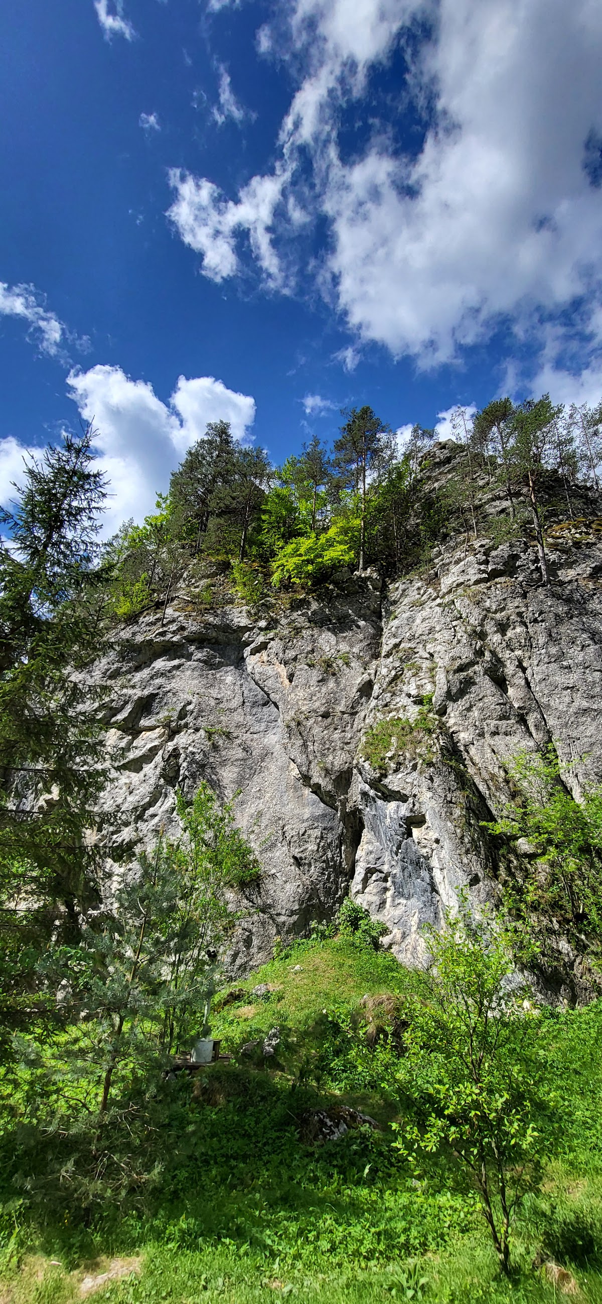 Rezervaţia Naturală Cheile Şugăului-Munticelu Sit Natura 2000 - foto 3