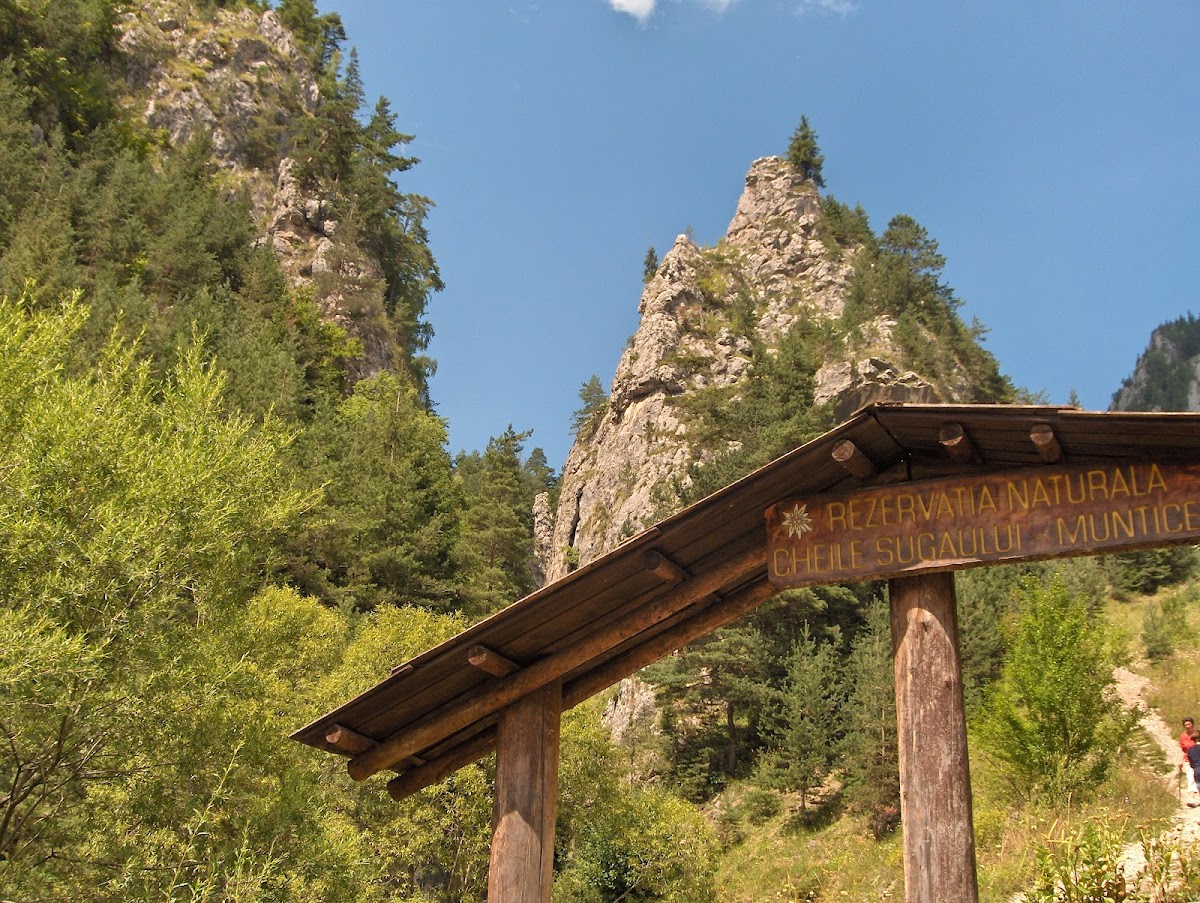 Rezervaţia Naturală Cheile Şugăului-Munticelu Sit Natura 2000 - foto 4