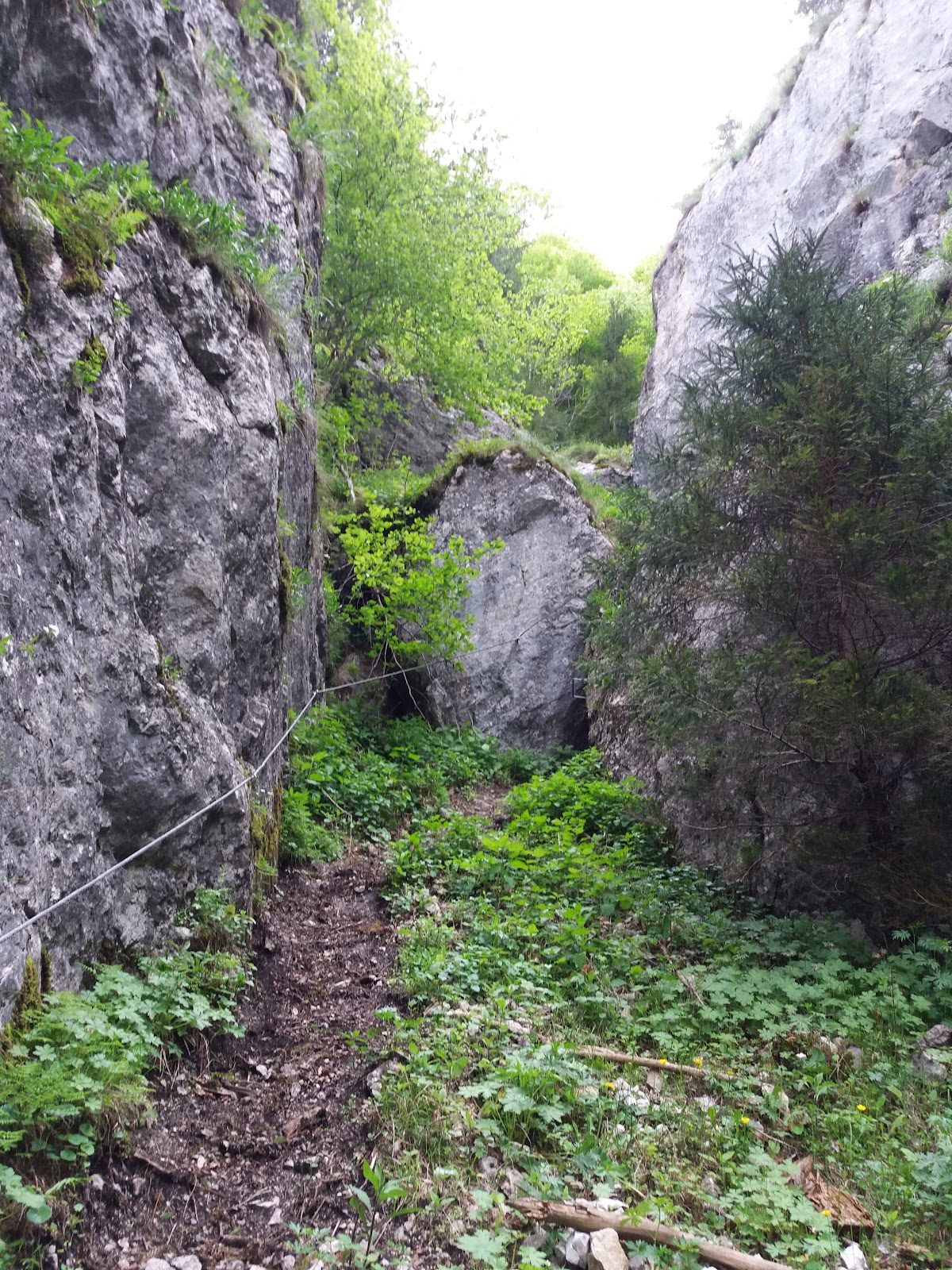 Rezervaţia Naturală Cheile Şugăului-Munticelu Sit Natura 2000 - foto 5