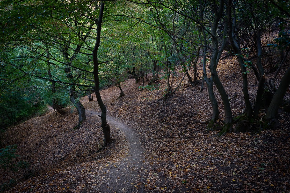 Rezervaţia naturală geologică Râpa Roșie - foto 3